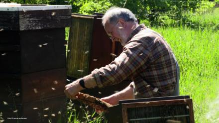 An der Bruchkante - Imker in Mecklenburg / On the Fault-Line – Beekeepers in Mecklenburg / 