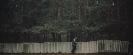 Płot / The Fence / Der Zaun