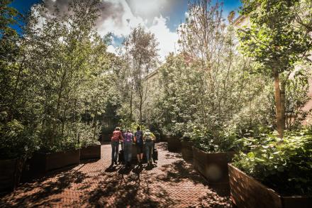 THE WALKING FOREST / DER WANDERNDE WALD