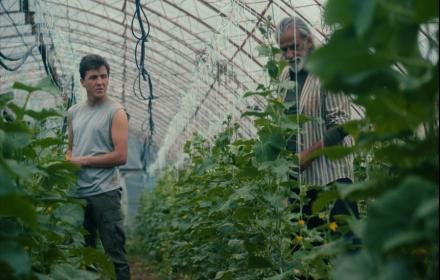 THERMOKIPIO / GREENHOUSE / DAS GEWÄCHSHAUS