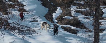 TOO BALDARY / CHILDREN OF THE MOUNTAINS / KINDER DER BERGE