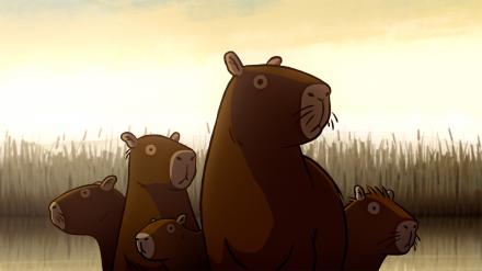 CAPYBARAS / WASSERSCHWEINE
